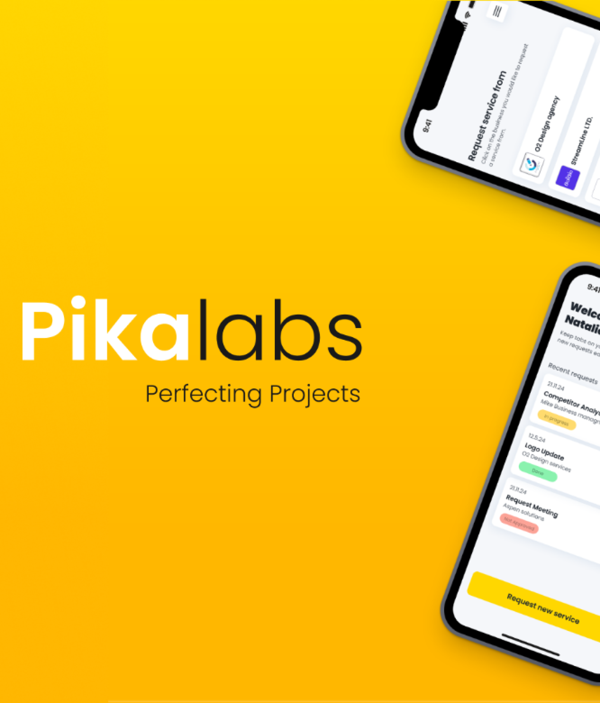 PikaLabs: Perfecting projects